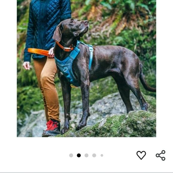 Pet Carrier Backpack for Dogs - Black - Picture 6 of 16